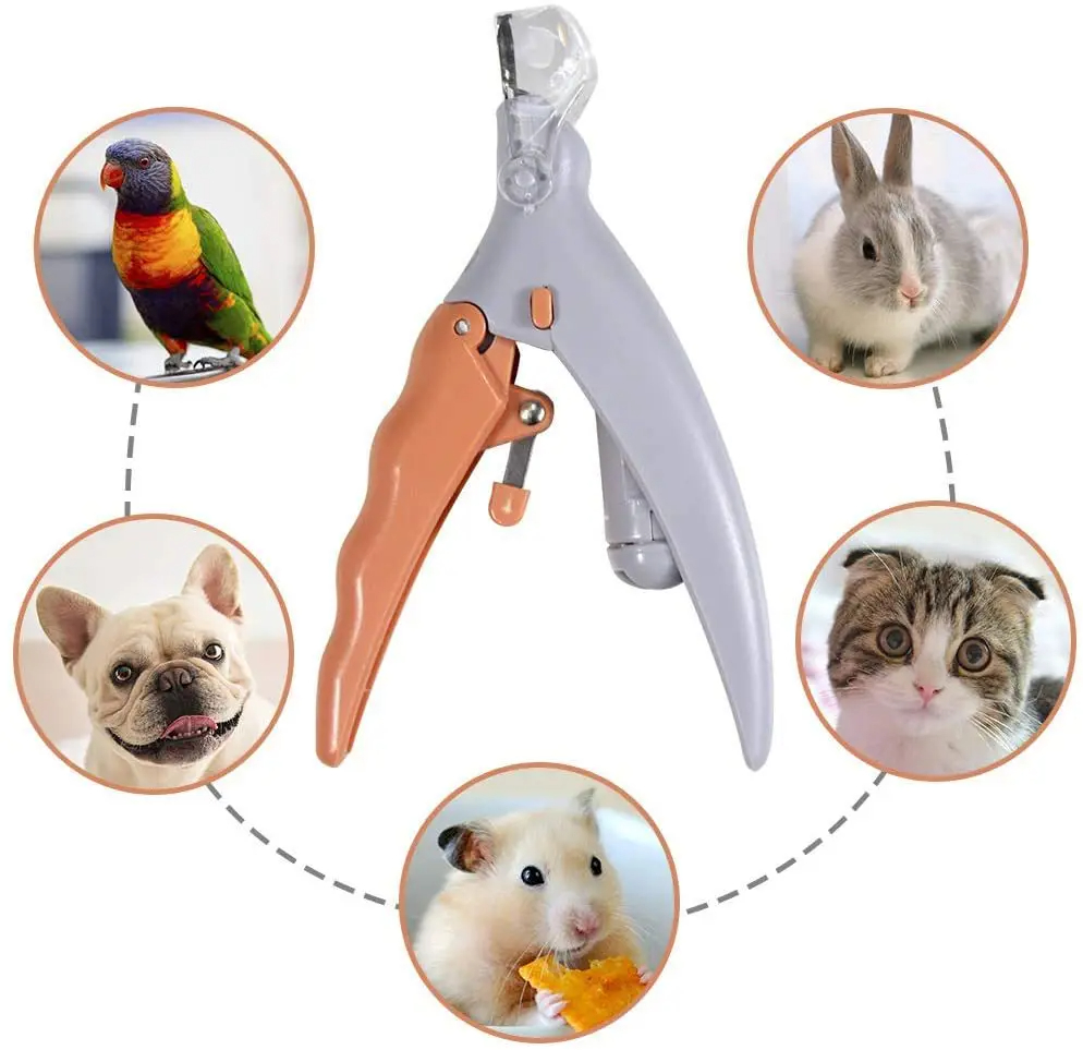 LEDライト付き猫犬用プロ用ペット爪切りはさみ - ペット用 - Grooming Scissors のレビューと価格